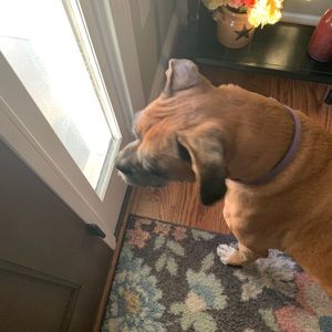 Meet your Posher, Dirk